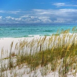 Meet your Posher, Tim